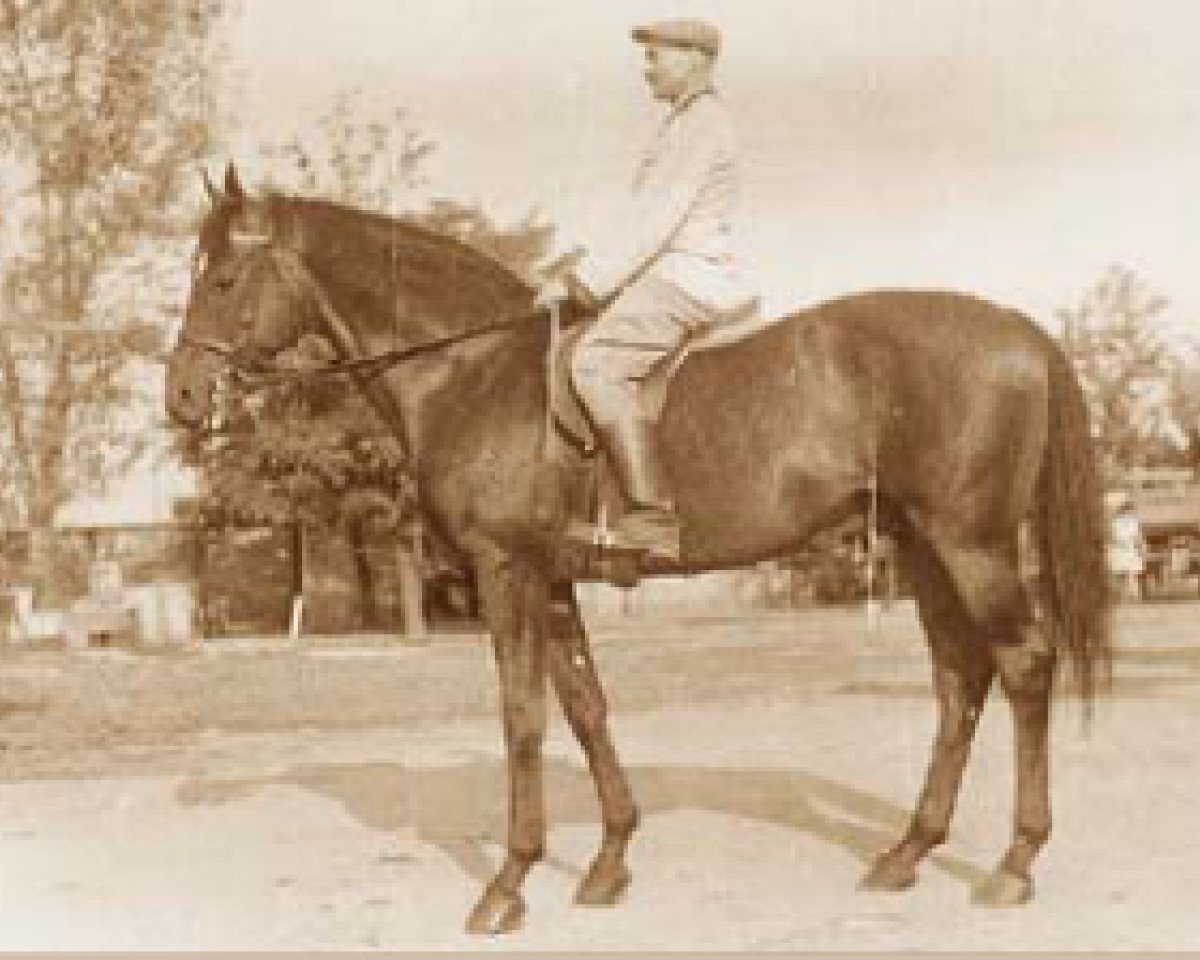 stallion Andris xx (Thoroughbred, 1953, from Alpar xx)