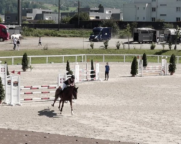Pferdesporttage Bülach 2021