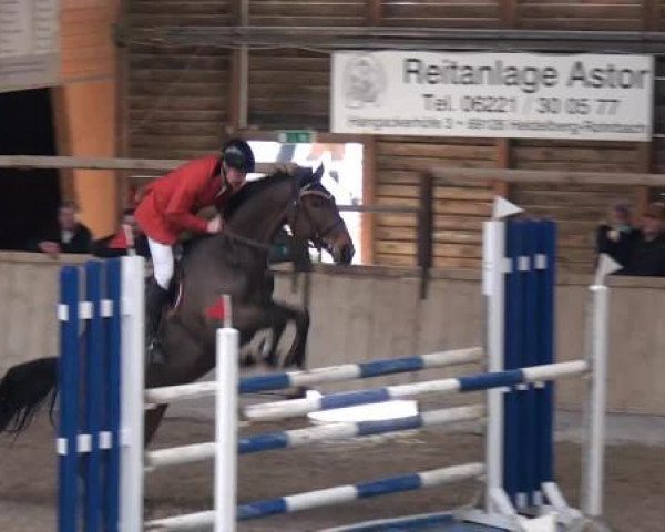 Hallenspringturnier Heidelberg-Kirchheim 2015