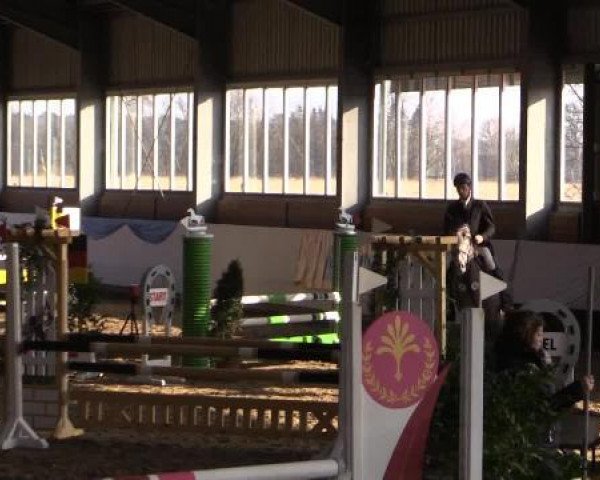Hallen-Springturnier Greven 2015
