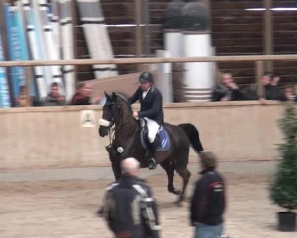 Hallenspringturnier Heidelberg-Kirchheim 2015