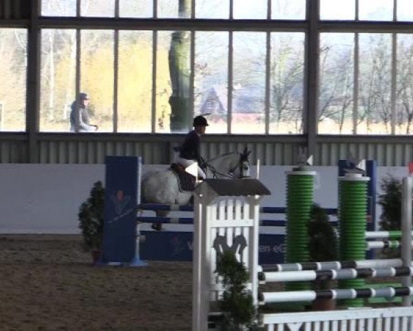 Hallen-Springturnier Greven 2015
