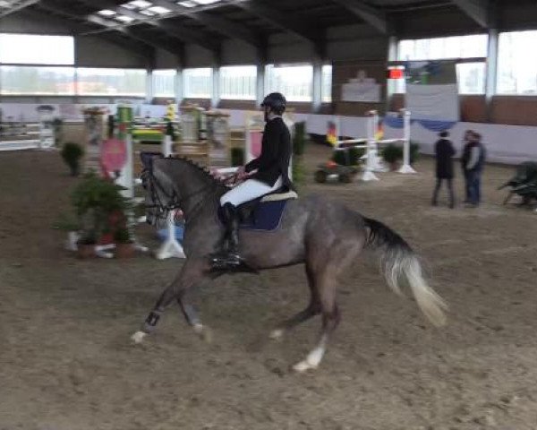 Hallen-Springturnier Greven 2015