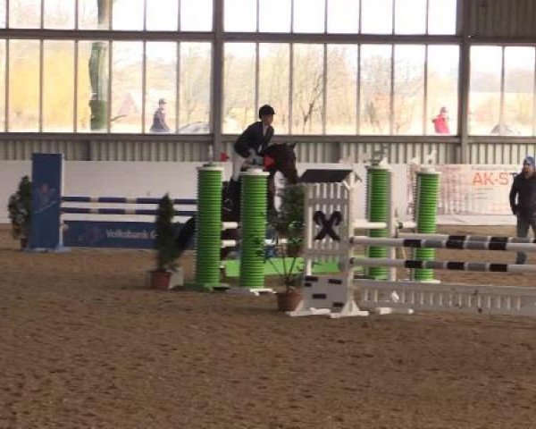 Hallen-Springturnier Greven 2015