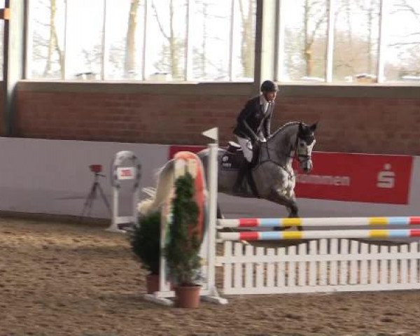 Hallen-Springturnier Greven 2015