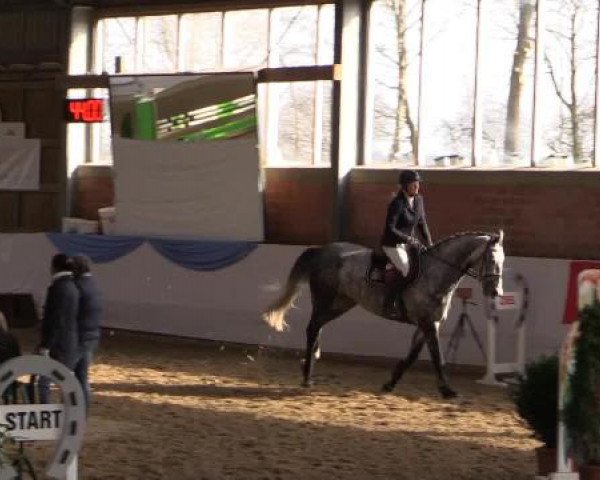 Hallen-Springturnier Greven 2015