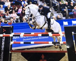 jumper Feeeriek van T & L (Belgian Warmblood, 2011, from Houston)