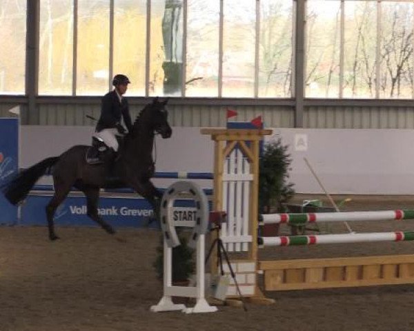 Hallen-Springturnier Greven 2015
