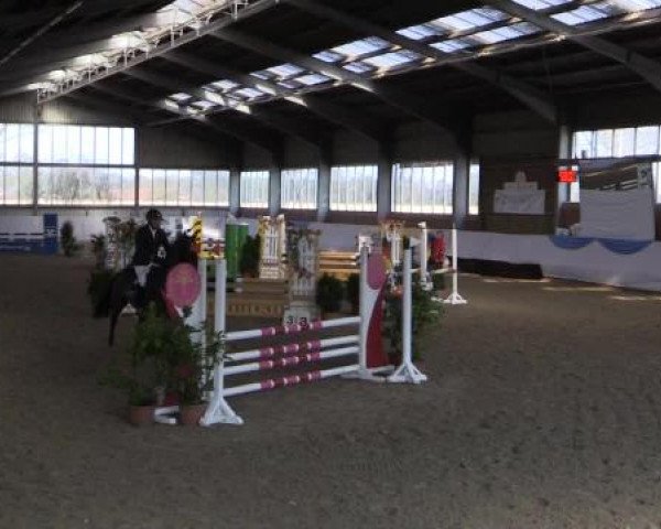 Hallen-Springturnier Greven 2015