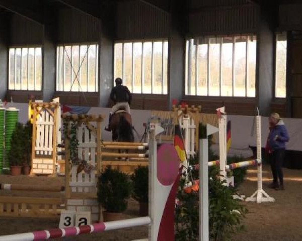 Hallen-Springturnier Greven 2015