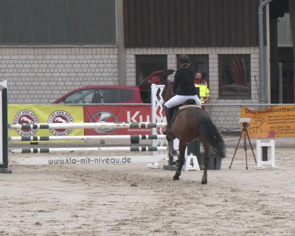 Rideturnering Olfen 2026