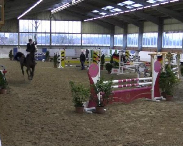 Hallen-Springturnier Greven 2015
