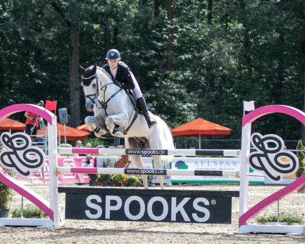 stallion Cornet's Contenance R (Holsteiner, 2015, from Cornet Obolensky)