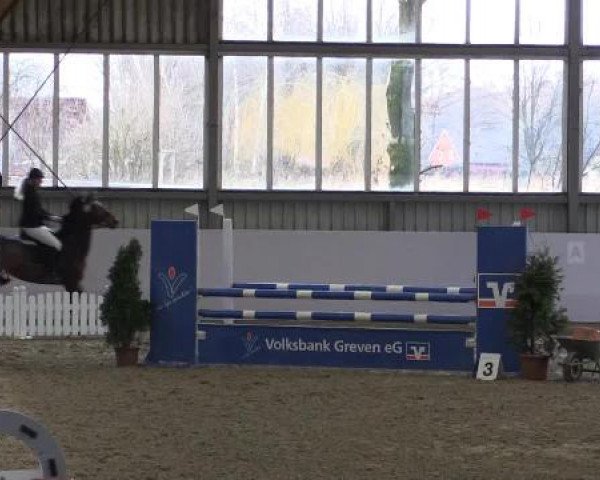 Hallen-Springturnier Greven 2015