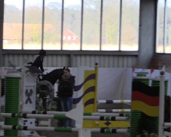 Hallen-Springturnier Greven 2015