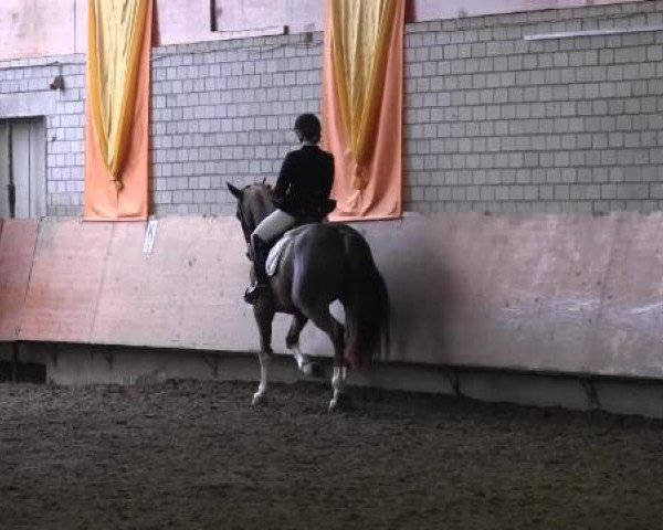 Hallenturnier Hellefeld 2015