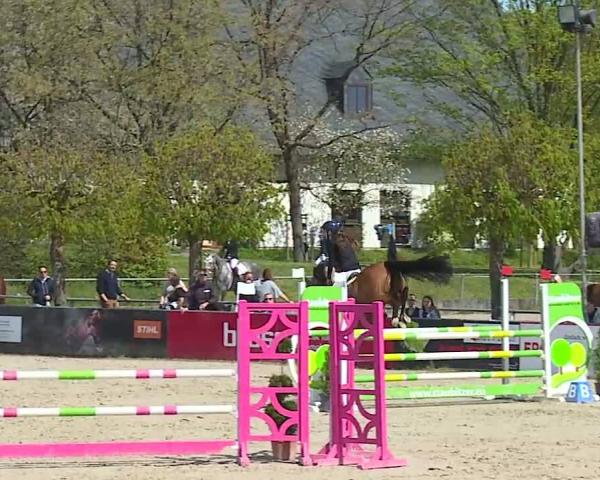 Rideturnering Sonnefeld-Frankenhof/Ofr. 2026