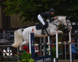 jumper Cazoo (Holsteiner, 2013, from Clinton I)