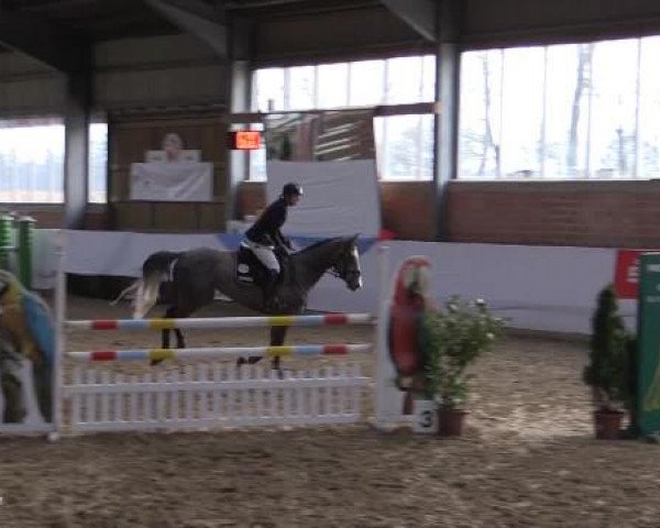 Hallen-Springturnier Greven 2015