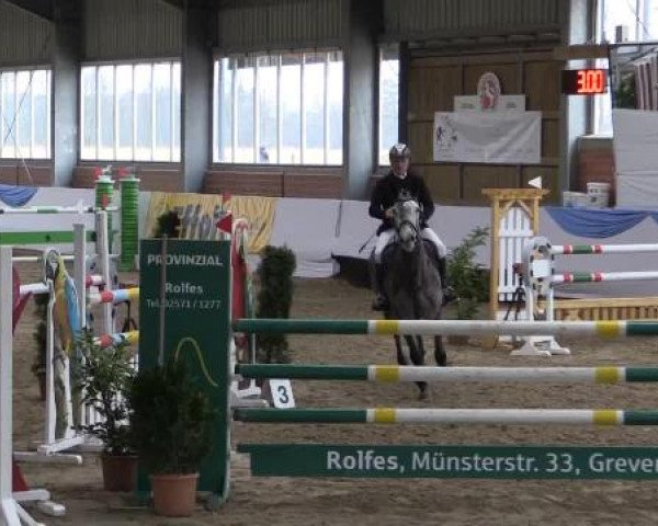 Hallen-Springturnier Greven 2015