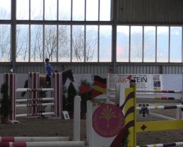 Hallen-Springturnier Greven 2015