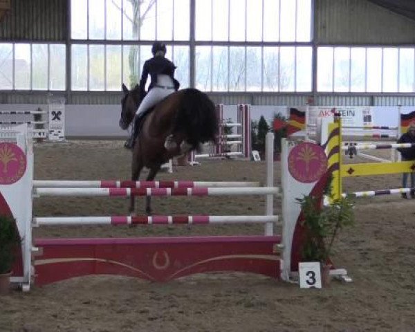 Hallen-Springturnier Greven 2015