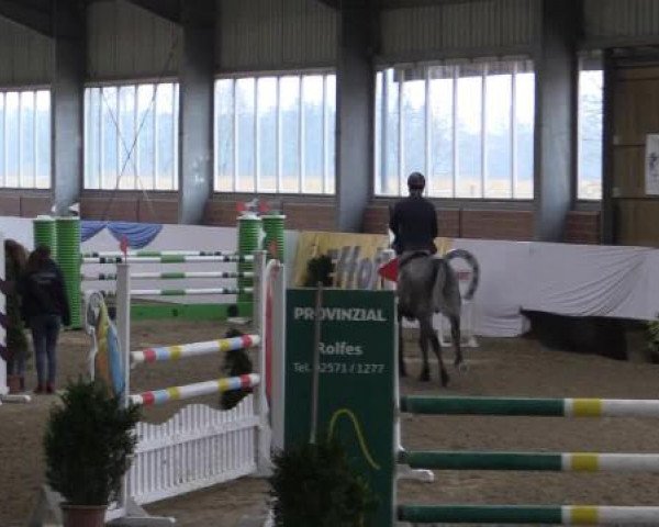 Hallen-Springturnier Greven 2015