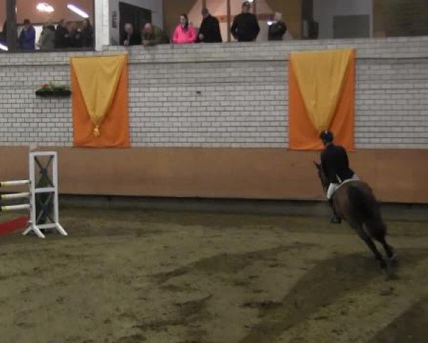 Hallenturnier Hellefeld 2015