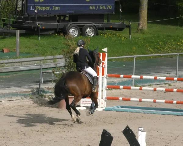 Torneo Equestre Harsum-Hüddessum 2026