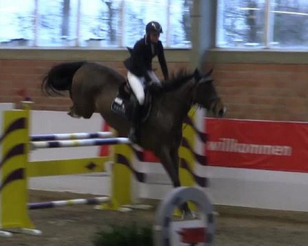 Hallen-Springturnier Greven 2015