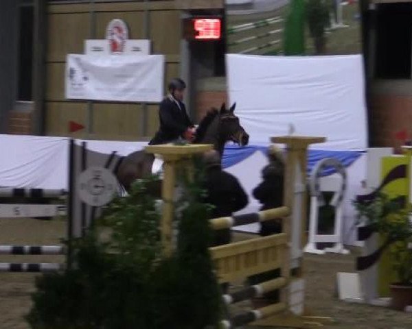 Hallen-Springturnier Greven 2015