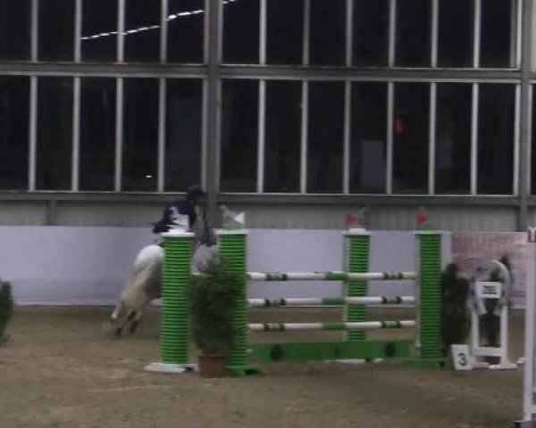 Hallen-Springturnier Greven 2015