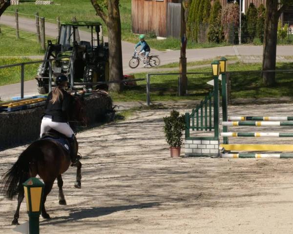 Rideturnering Ingolstadt-Hagau/Obb. 2026
