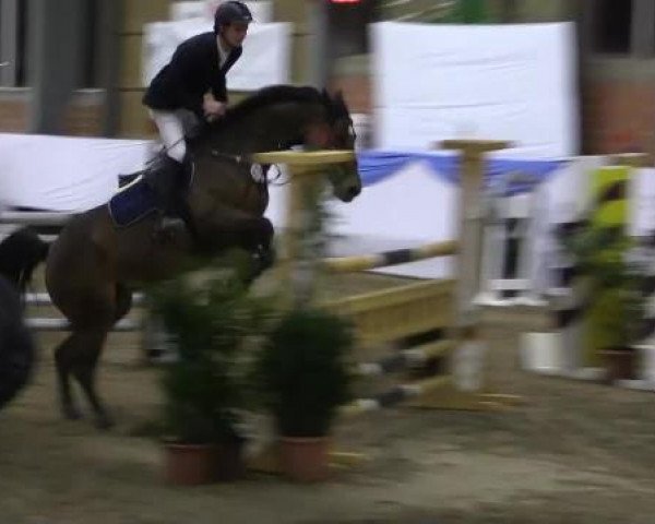 Hallen-Springturnier Greven 2015