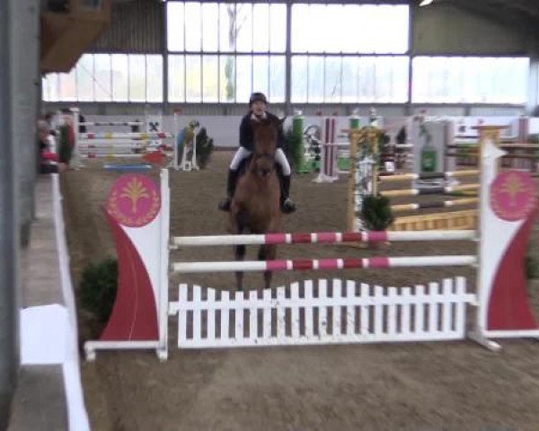 Hallen-Springturnier Greven 2015