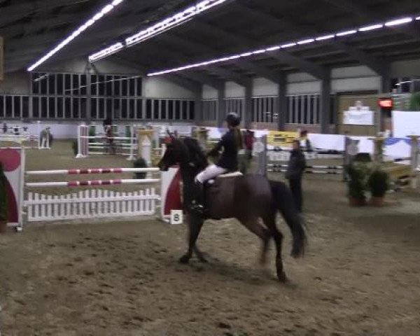Hallen-Springturnier Greven 2015