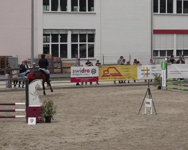 Reitturnier Sulgen 2026