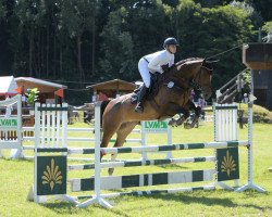 jumper Pina 116 (Westphalian, 2015, from Pilothago Dxb)
