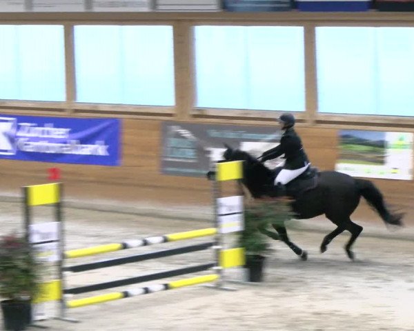 Reitturnier Rüti 2021