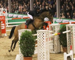 jumper by Balou (Oldenburg, 2008, from Balou du Rouet)