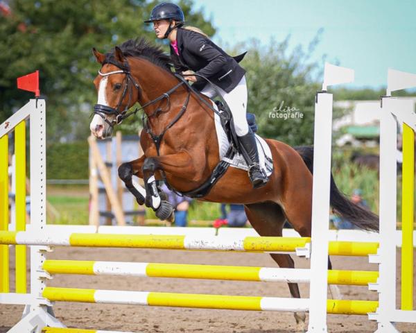 Skokan Carlotta 396 (Mecklenburger, 2020, od Cashmere)