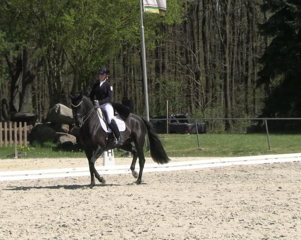 Reitturnier Pietzpuhl 2026