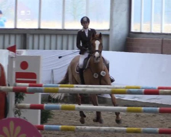 Hallen-Springturnier Greven 2015