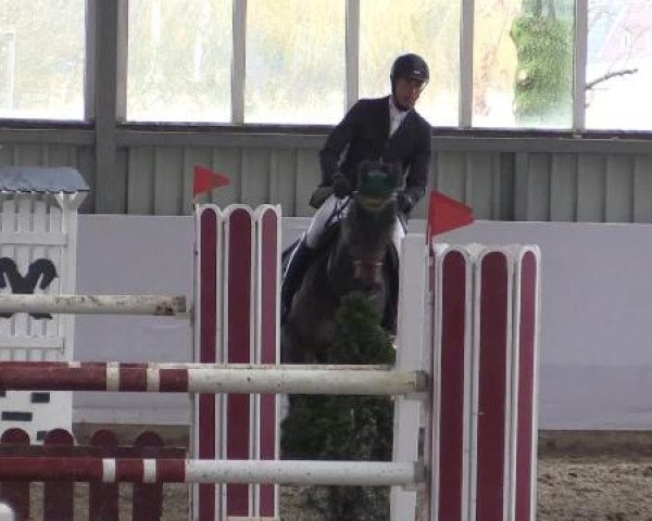 Hallen-Springturnier Greven 2015