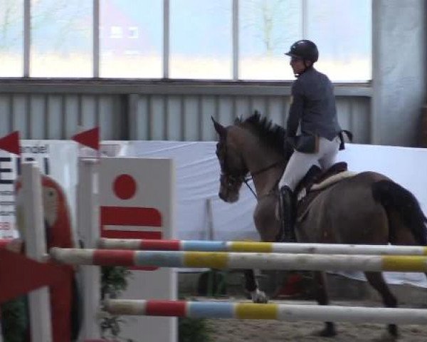 Hallen-Springturnier Greven 2015