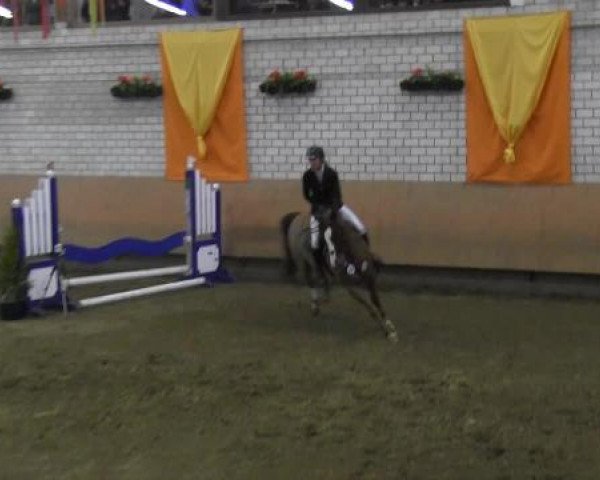 Hallenturnier Hellefeld 2015