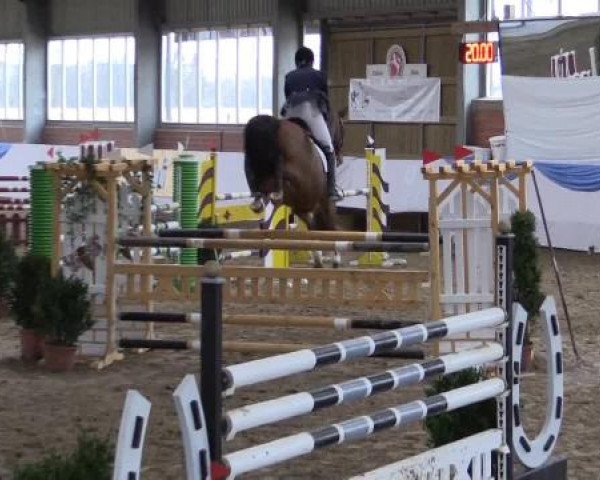 Hallen-Springturnier Greven 2015