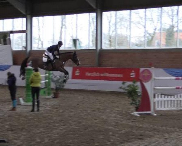 Hallen-Springturnier Greven 2015