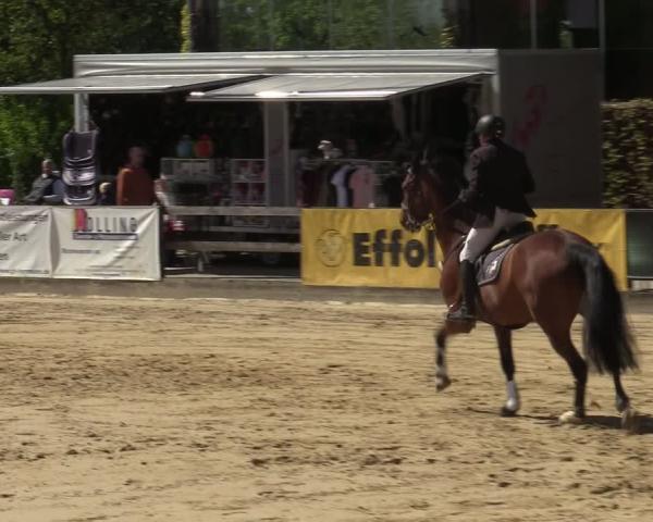 Torneo Ecuestre Münster-Nienberge 2026