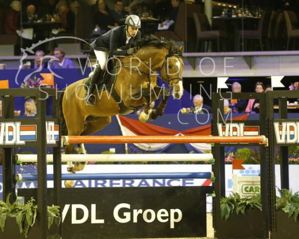 Cavallo da salto Great Pleasure 13 (Bavarese, 2004, di Eurocommerce Pennsylvania)